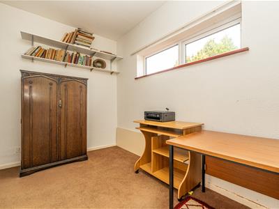 Picture 23